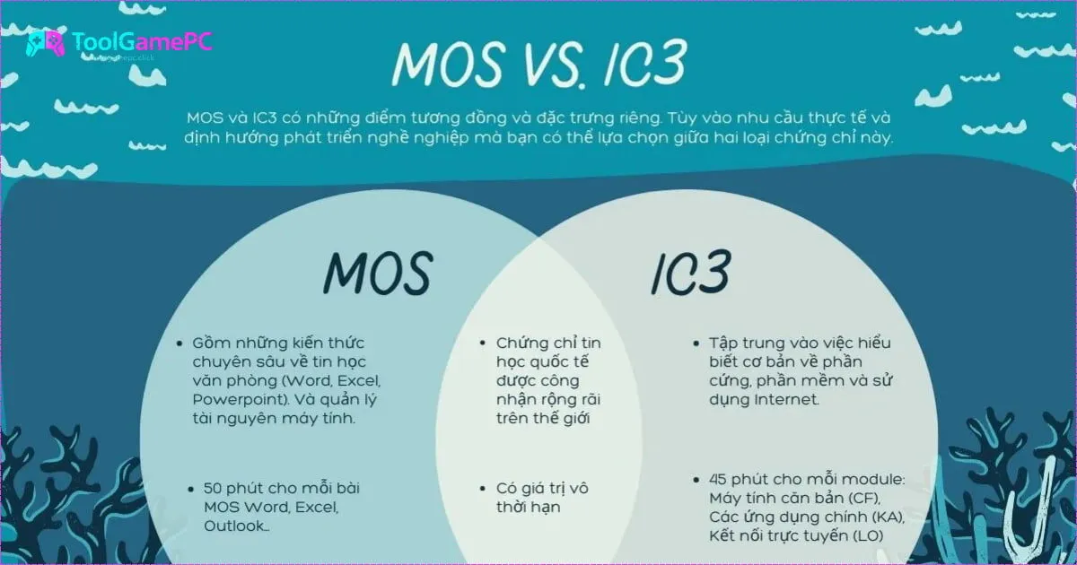 So Sánh và Tìm Hiểu Bộ Câu Hỏi Ôn Luyện MOS